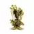 Groot Gold