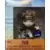 Funko Minis - Naruto Shippuden - Pain Metallic