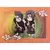 Kisame & Itachi
