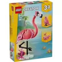 Wild Animals : Pink Plamingo