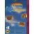 US - Jeux GameGear Américains - Pinball Dreams