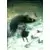 Les Fables de l\'Humpur - Le Royaume d\'Ophü