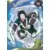 Series SSR - Haku