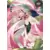 Série SSR - Sakura Haruno