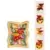 Coffres Dragons - Coffre or