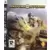 MotorStorm
