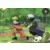 Naruto & Kakashi