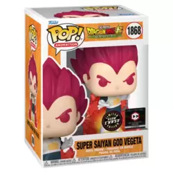 Dragon Ball Super - Super Saiyan God Vegeta GITD