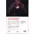 Deadpool - 100% Marvel 2020 - La Vie en noir