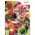 Bakugan