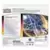 Coffret de Boosters - Tripack Astres Radieux EB10 - Evoli
