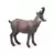 Wild Life - Chamois