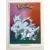 Pokémon - Dunkin Boomer - Nidorina