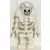 LEGO Adventurers Minifigures - Skeleton with Standard Skull, White Mummy Headdress