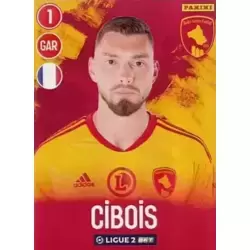 Sébastien Cibois - Rodez Aveyron Football
