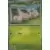 Prismatic Evolutions PREEN - Exeggcute Master Ball