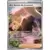 Evolutions prismatiques - PREFR - Art Secret de Jeannine