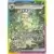 Evolutions prismatiques - PREFR - Phyllali EX
