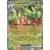 Evolutions prismatiques - PREFR - Pomdorochi EX