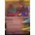 Prismatic Evolutions PREEN - Flutter Mane Holo