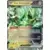 Iron Thorns EX