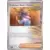 Prismatic Evolutions PREEN - Professor Sada\'s Vitality