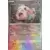 Prismatic Evolutions PREEN - Scream Tail Master Ball