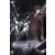 Gundam Seed - Mobile Suit Gundam Seed Destiny-Vol. 6