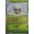 Evolutions prismatiques - PREFR - Farfaduvet Reverse