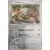 Evolutions prismatiques - PREFR - Heatran Reverse