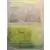 Evolutions prismatiques - PREFR - Scarabrute Reverse