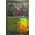 Evolutions prismatiques - PREFR - Scarabrute Master Ball