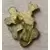Disney Pins Open Edition - Donald Duck