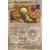 Evolutions prismatiques - PREFR - Deusolourdo Reverse