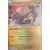 Ursaking Lune Vermeille Master Ball