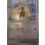 Prismatic Evolutions PREEN - Lopunny Master Ball