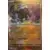 Prismatic Evolutions PREEN - Okidogi Master Ball