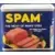 Spam