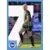 Women\'s Super League (WSL) 2025 - Brighton & Hove Albion