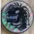 Pogs Kinis Promo - World Pog Federation - Dino Argent