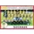 Foot 1995 en images - Equipe Sochaux