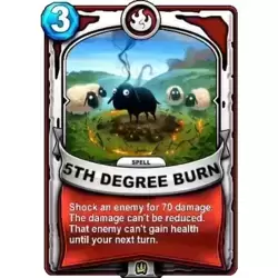 5TH DEGREE BURN