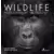 Wildlife Photographer of the Year 2021: Les plus belles photos de nature