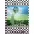 Badge - Le Havre