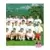 Equipe (puzzle 2) - Ajaccio