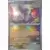 Evolutions prismatiques - PREFR - Fort-Ivoire Master Ball