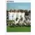Equipe (puzzle 1) - Nimes