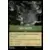 Pack Tactics - Foil