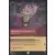 Vanellope Von Schweetz, Fonceuse hardie - Brillante