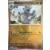 Stellar Crown SCREN - Rhydon Reverse